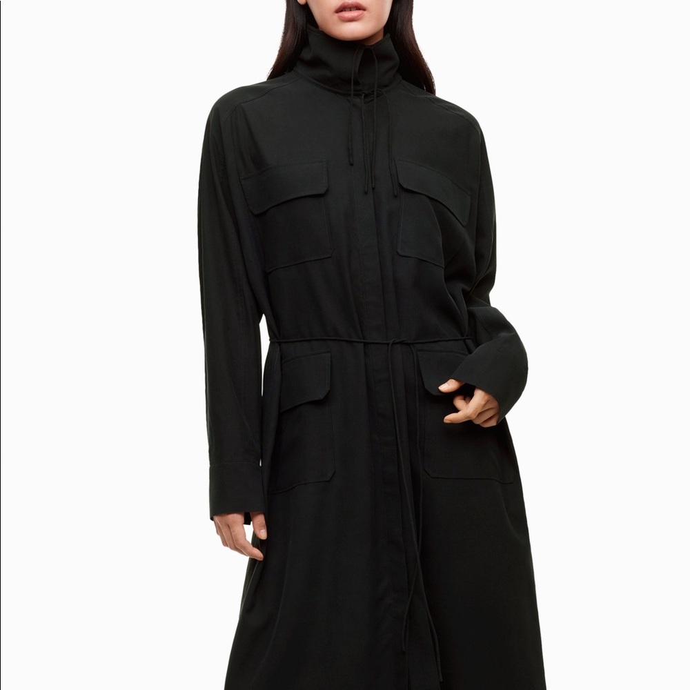 ARITZIA Babaton Dress
